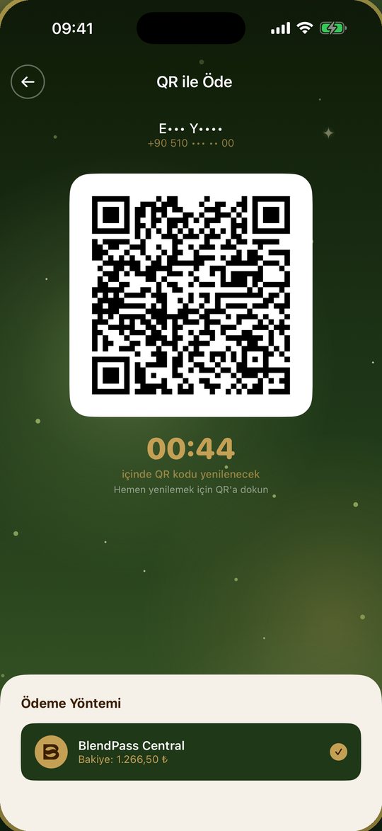 Pay with QR screen